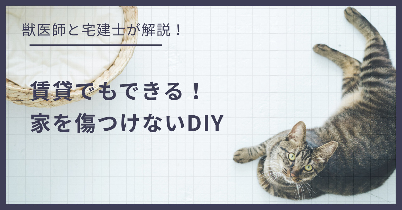 賃貸でもできる！壁・床を傷つけない猫のための最強DIYアイデアの画像